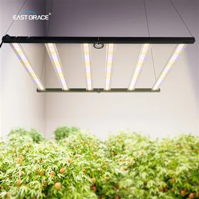 Foldable dirije grandi modil ba limyè b